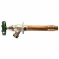 Arrowhead Brass 12 BRS Wall Hydrant 456-12LF